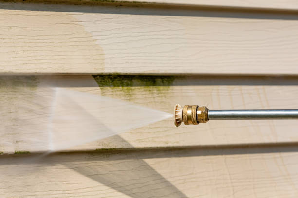 Best Roof Pressure Washing  in Holland, TX